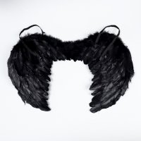 Крылья ангела, чёрные